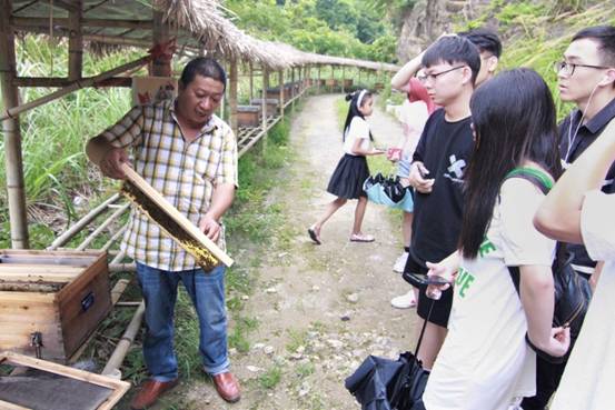 ”善行景宁乡，共圆畲汉梦“91视频
景宁梦之队-实地调研当地养蜂业